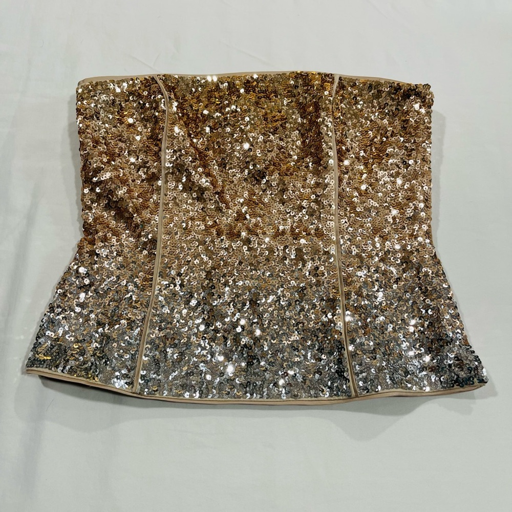 White House Black Market | NWT | Ombré Sequin Bustier | 10